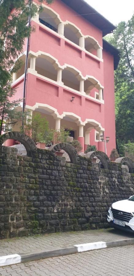 Rosa Villa Băile Olăneşti Kültér fotó
