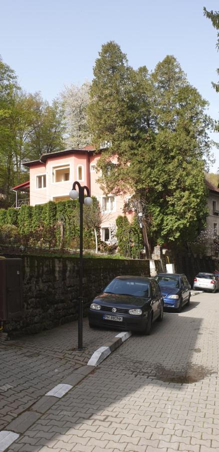 Rosa Villa Băile Olăneşti Kültér fotó