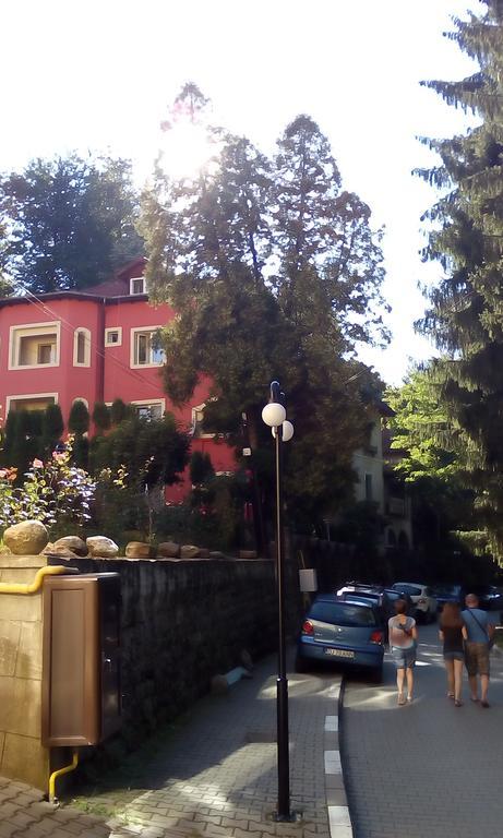 Rosa Villa Băile Olăneşti Kültér fotó